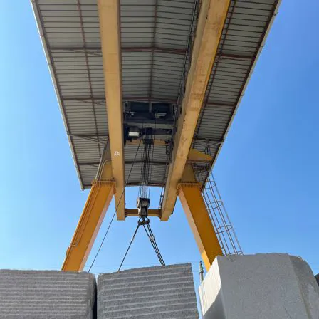 crane
